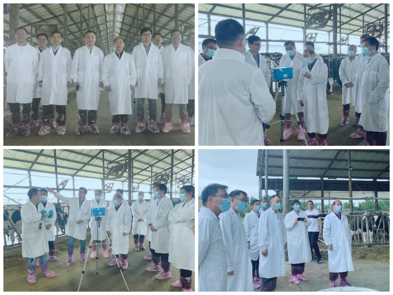 花花牛丨河南農(nóng)業(yè)大學(xué)黨委副書記、校長介曉磊一行蒞臨花花牛河南瑞亞參觀調(diào)研