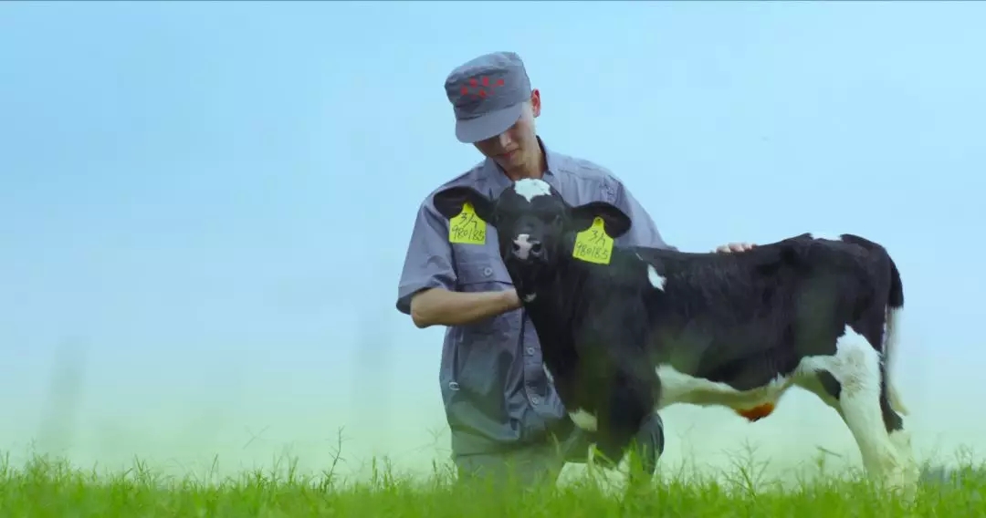 喜報(bào) | 國家市場監(jiān)管總局抽檢，花花牛等112家企業(yè)乳品抽檢全部合格