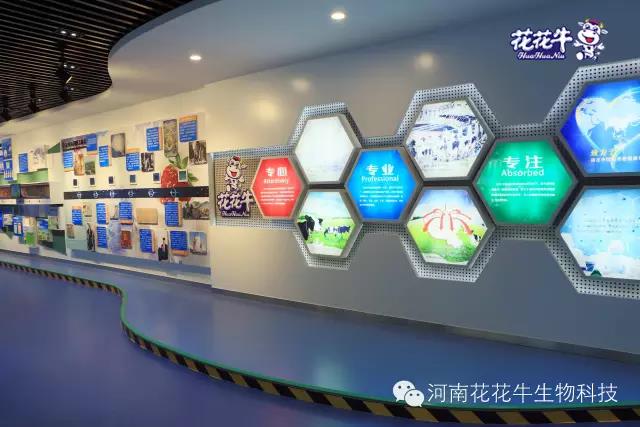 花花牛：務(wù)實、創(chuàng)新領(lǐng)潮市場 大企業(yè)體現(xiàn)大擔當